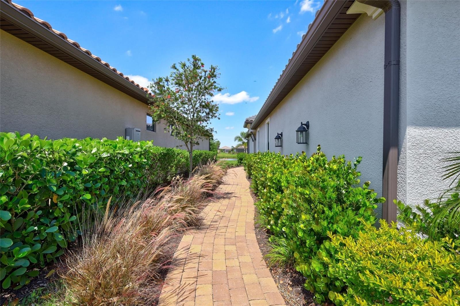 3114 TOLMINO CT
