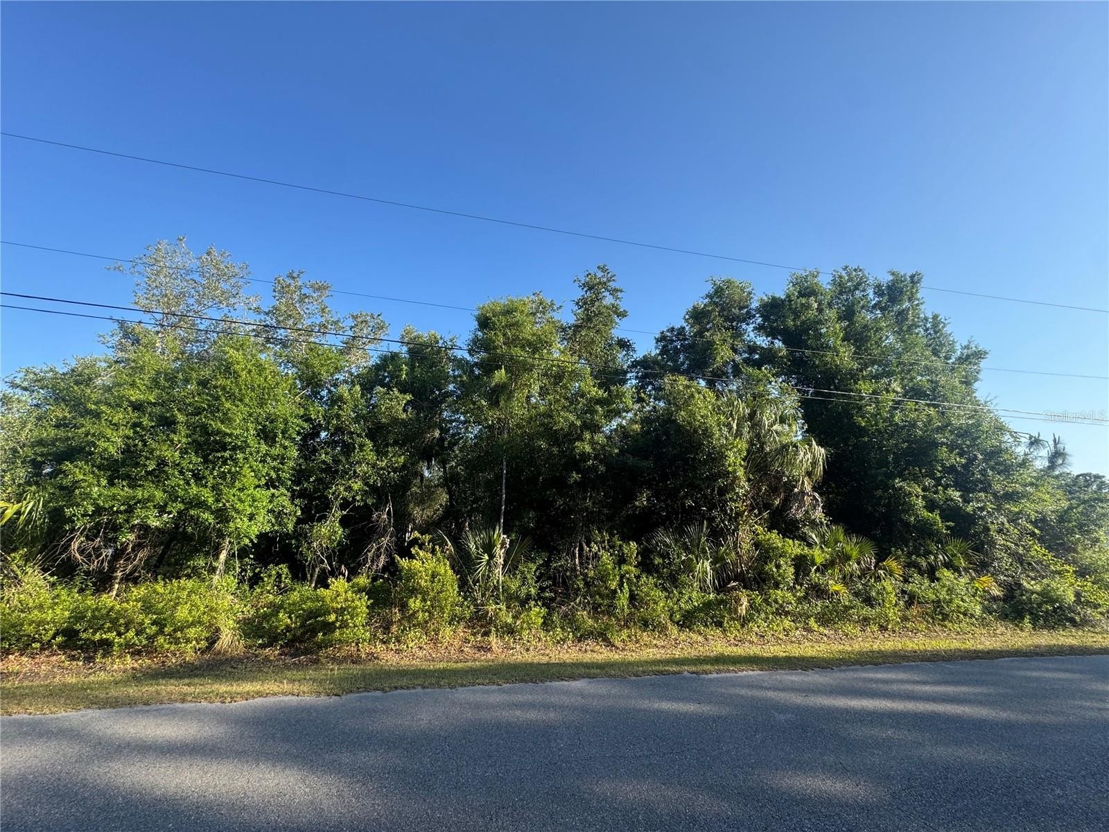 PETAL RD