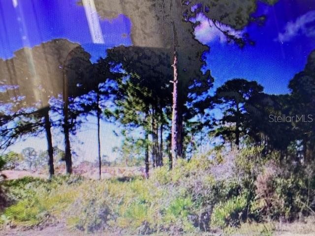 0 S TOLEDO BLADE BLVD N