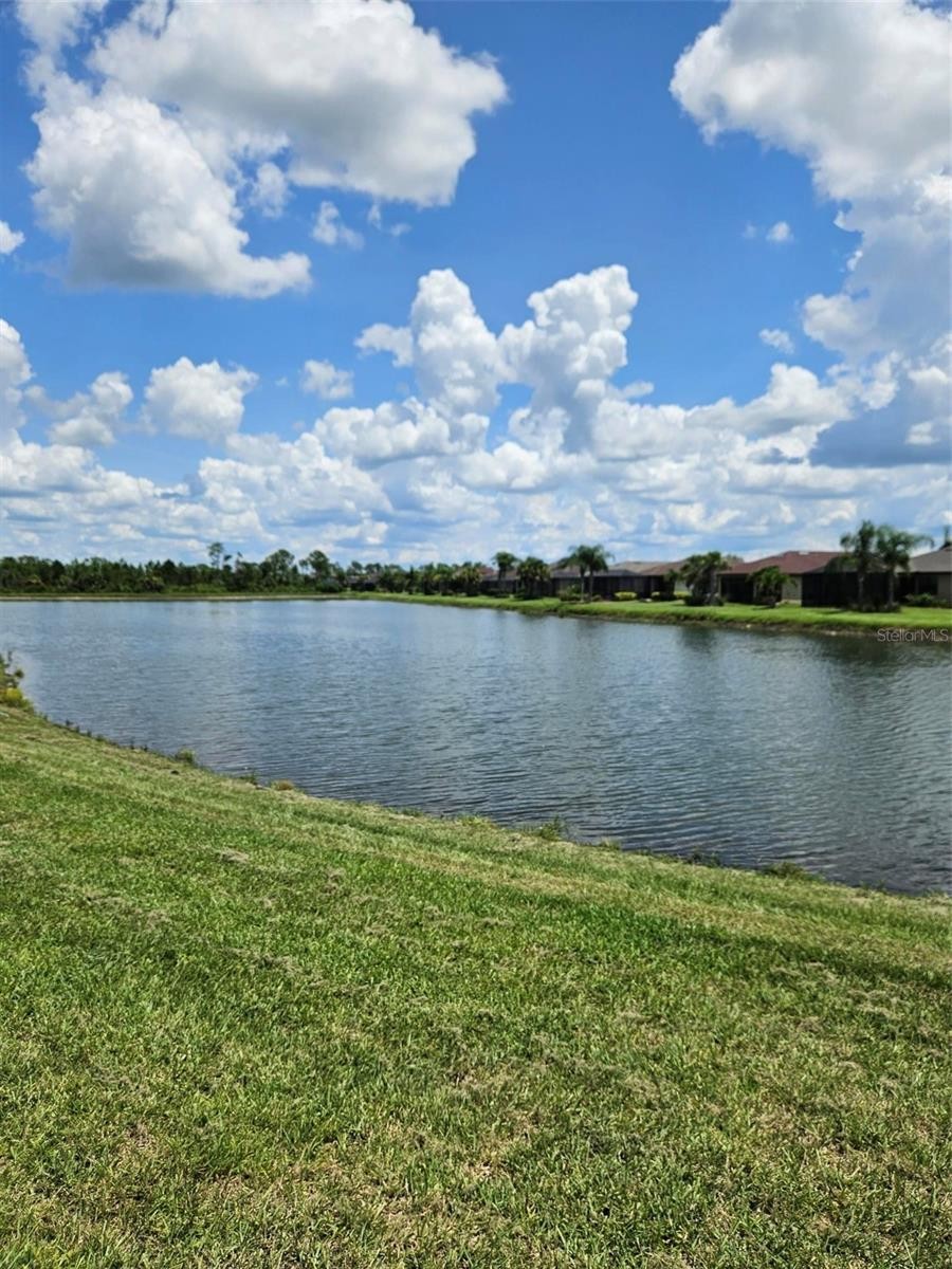2177 LAURIFOLIA CT