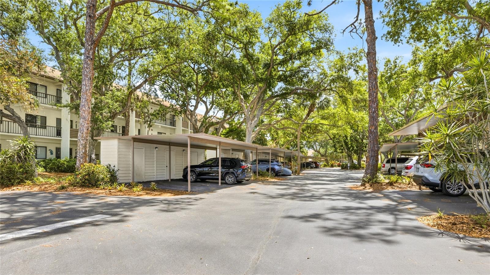 1176 BIRD BAY WAY #207