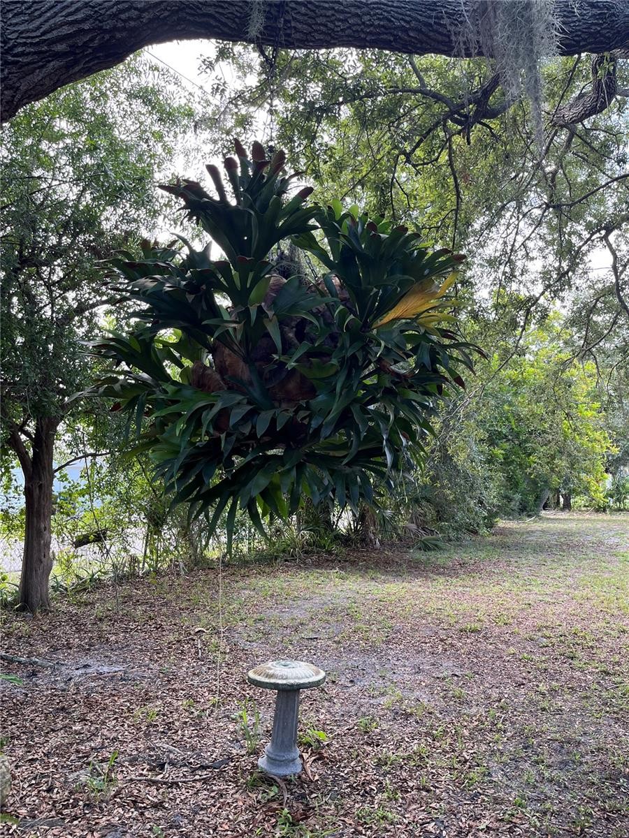 903 ANDERSON RD