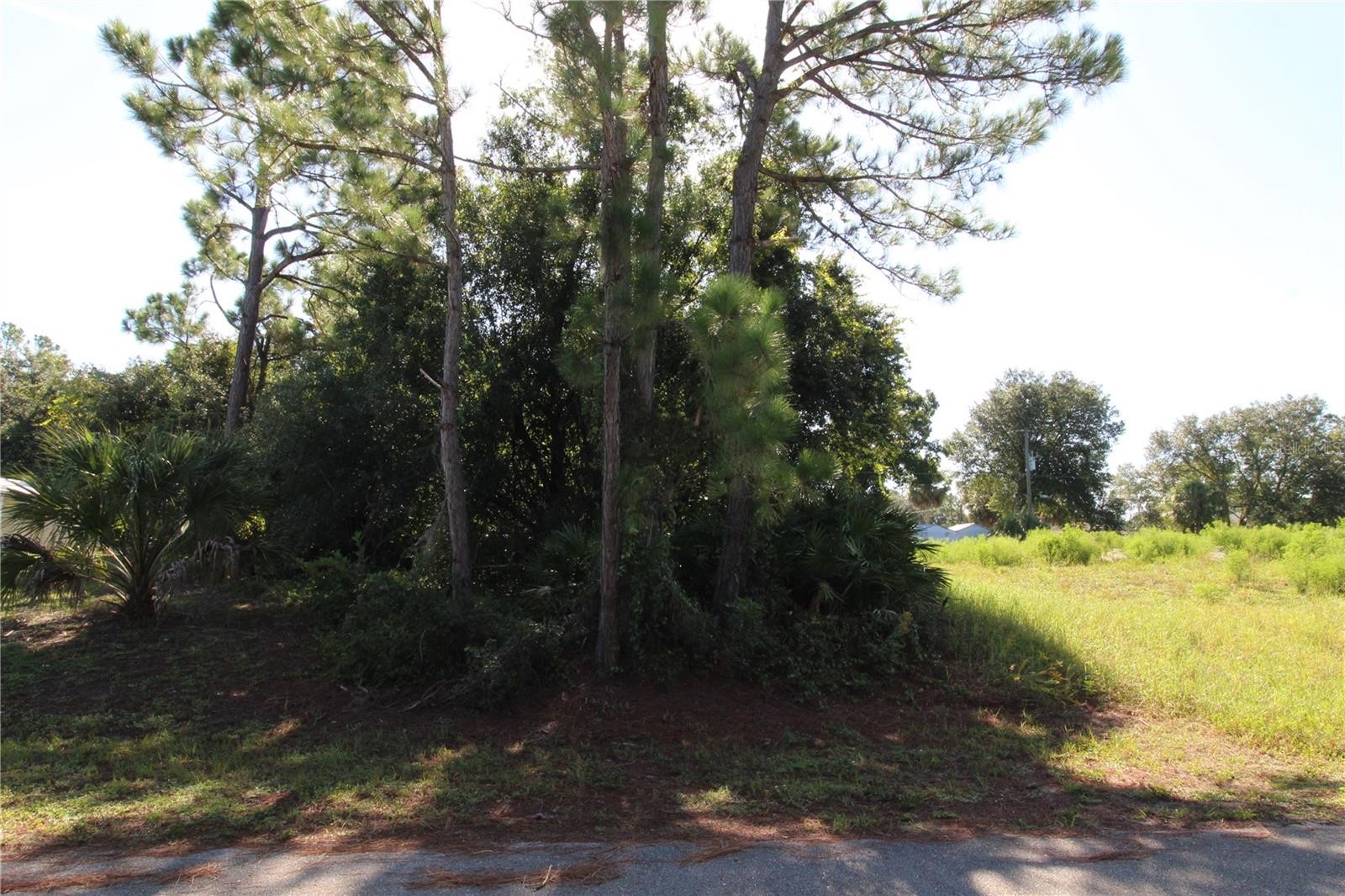 CHAMRADE RD