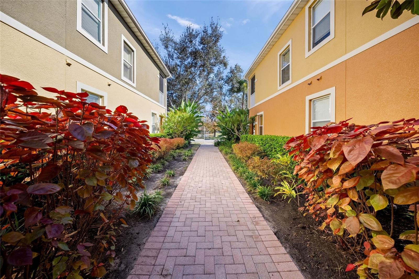 8015 LIMESTONE LN #15-101