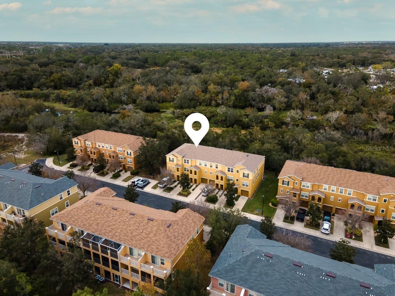 7323 BLACK WALNUT WAY #4202