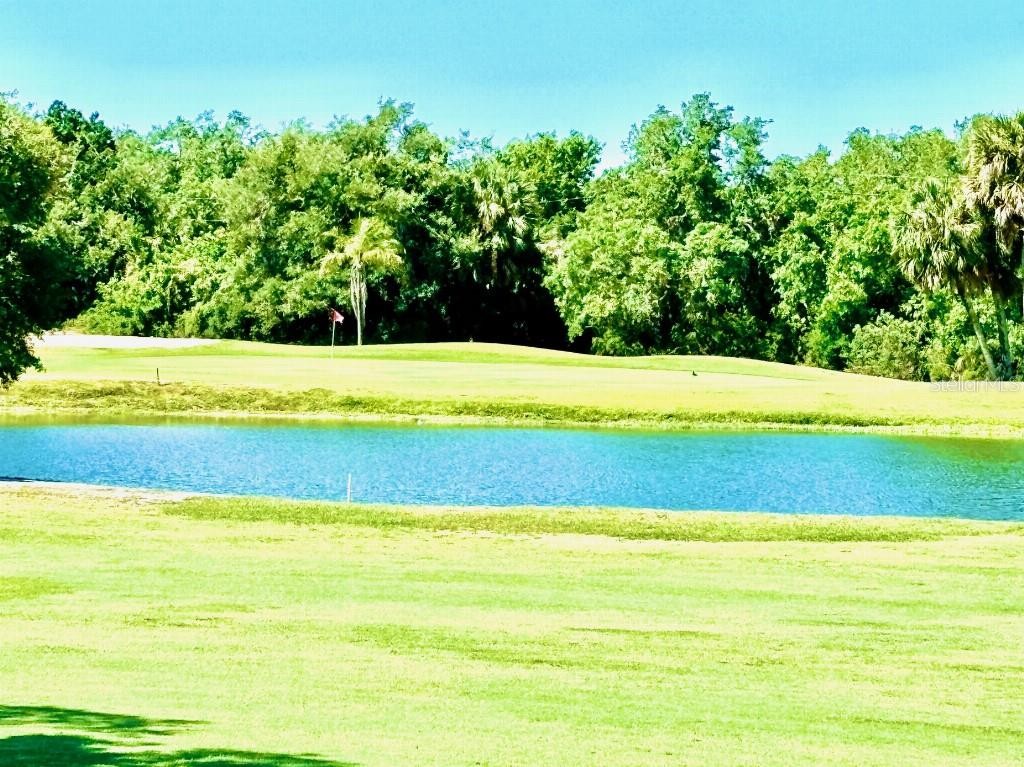 1041 CAPRI ISLES BLVD #219