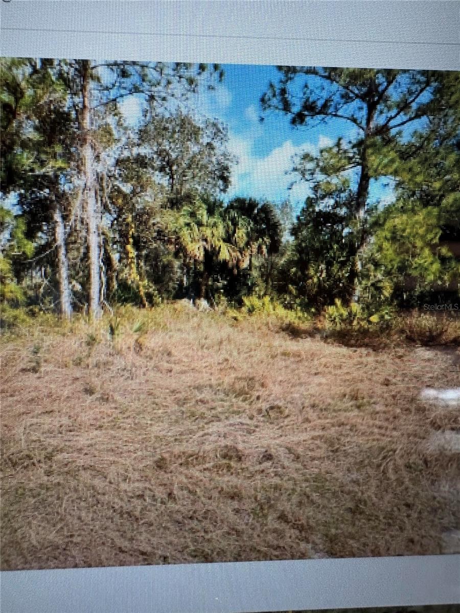 MATTOX CIR