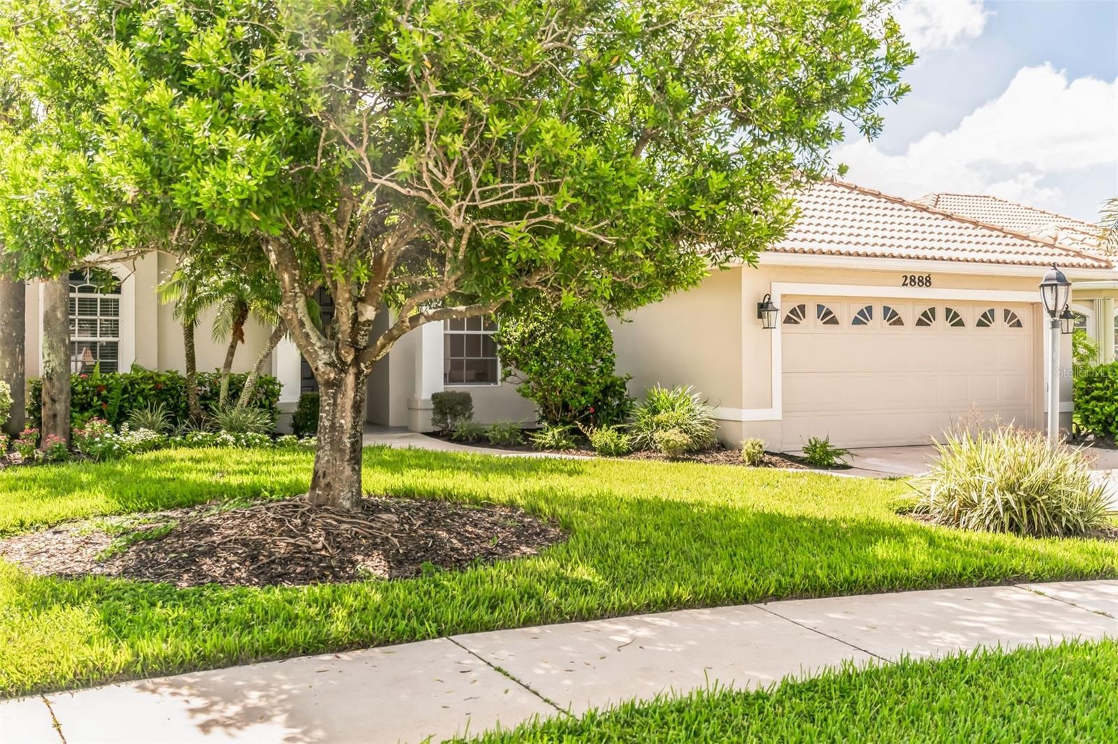 2888 PHOENIX PALM TER