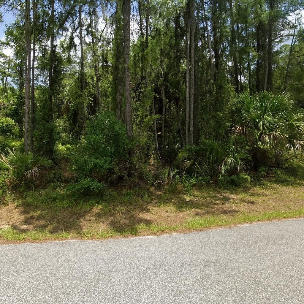 Lot 15 JONESBORO AVE