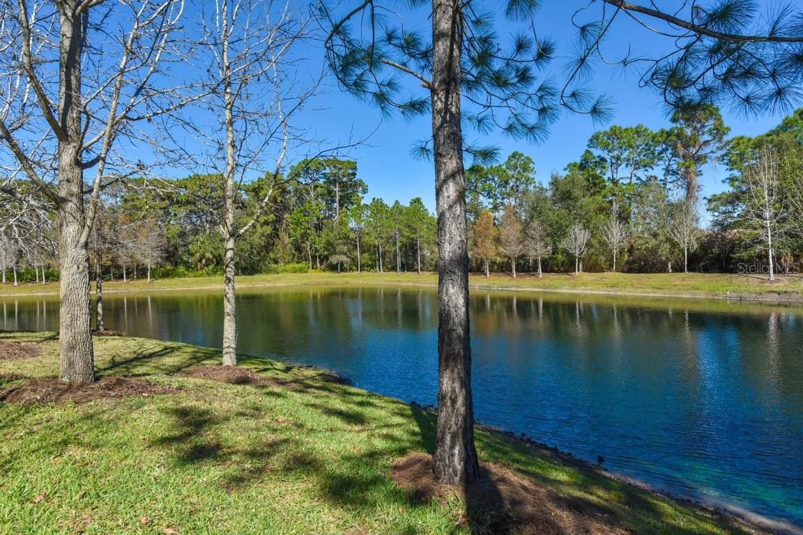 8114 VILLA GRANDE CT