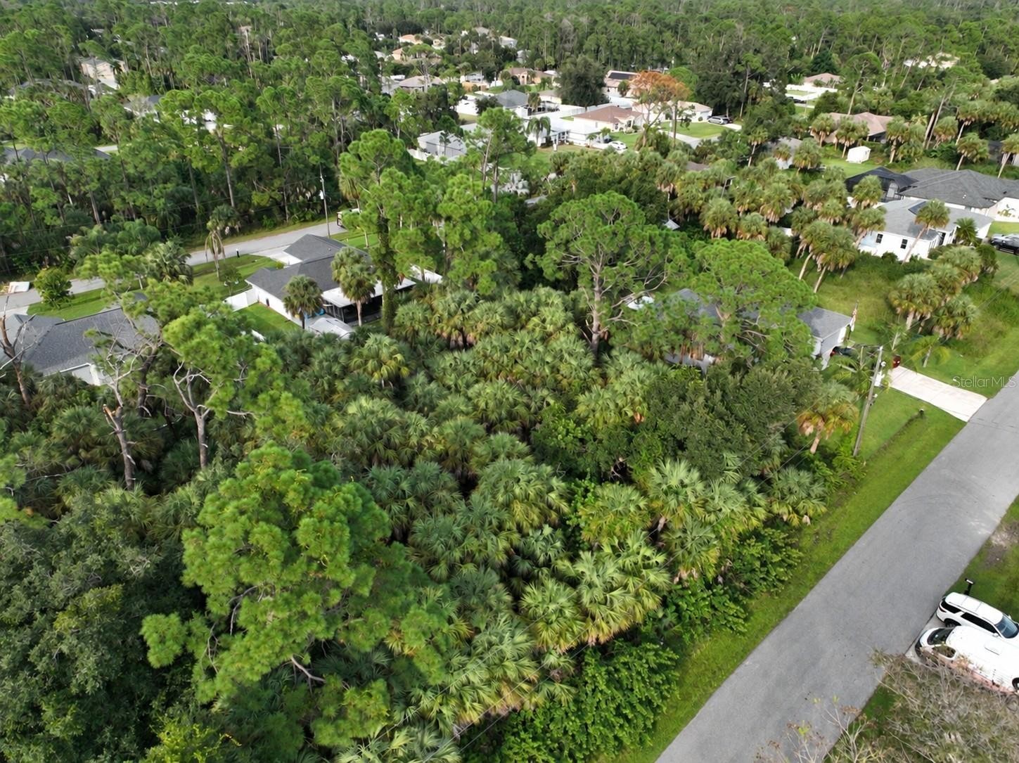 COQUINA AVE