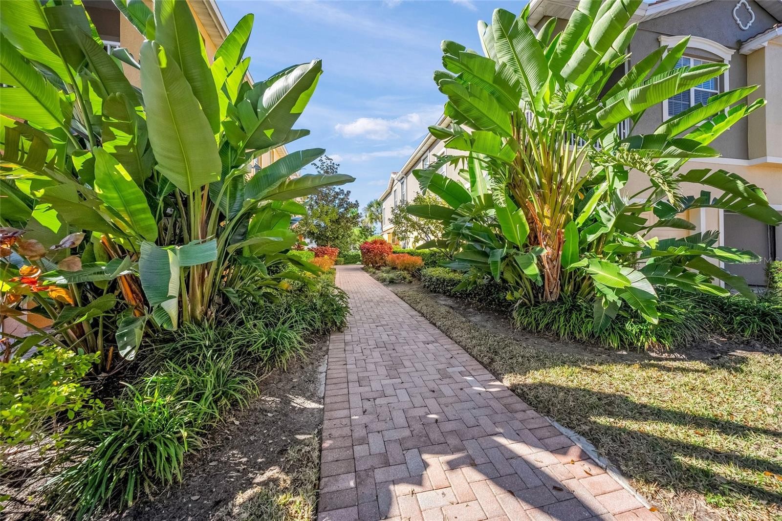 8015 LIMESTONE LN #15-101