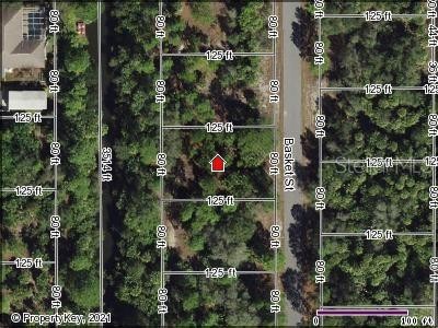 Lot 41 Basket St North Port Florida 34288