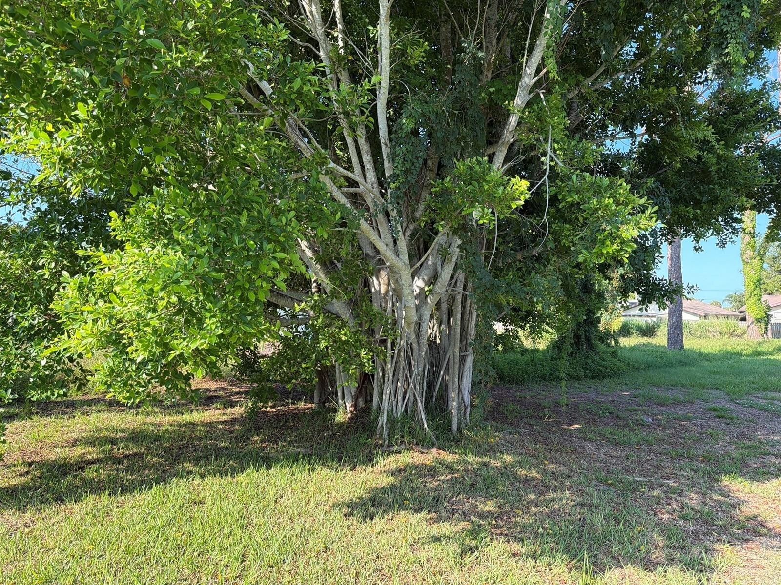 Lot 18 MICHIGAN AVE