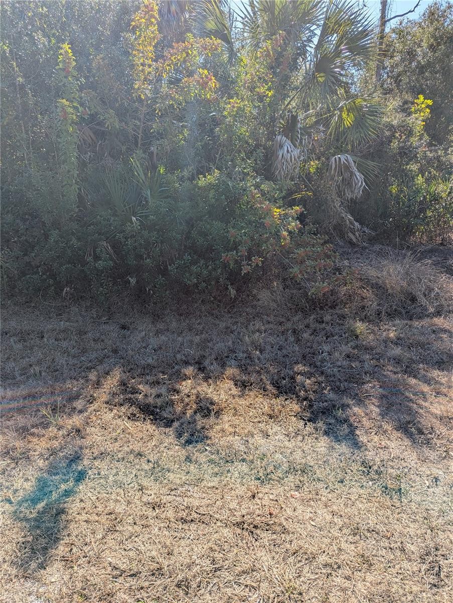 Lots 1,2&3 DE LEON DR