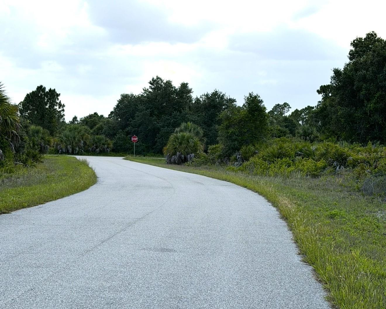 MANGROVE AVE