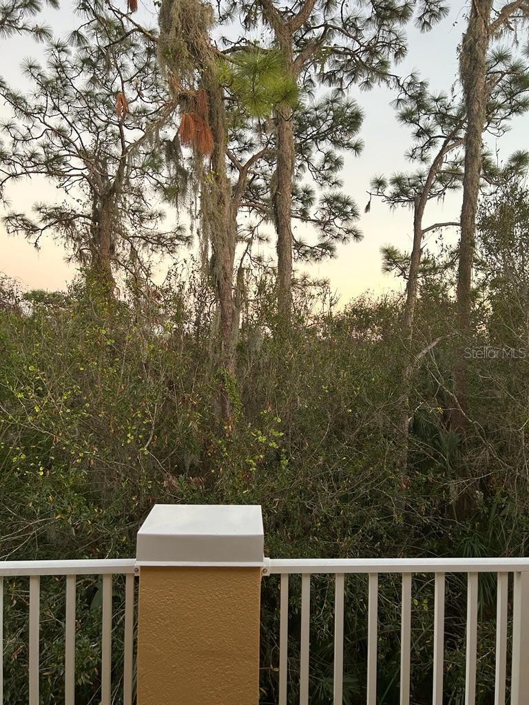 8807 WHITE SAGE LOOP