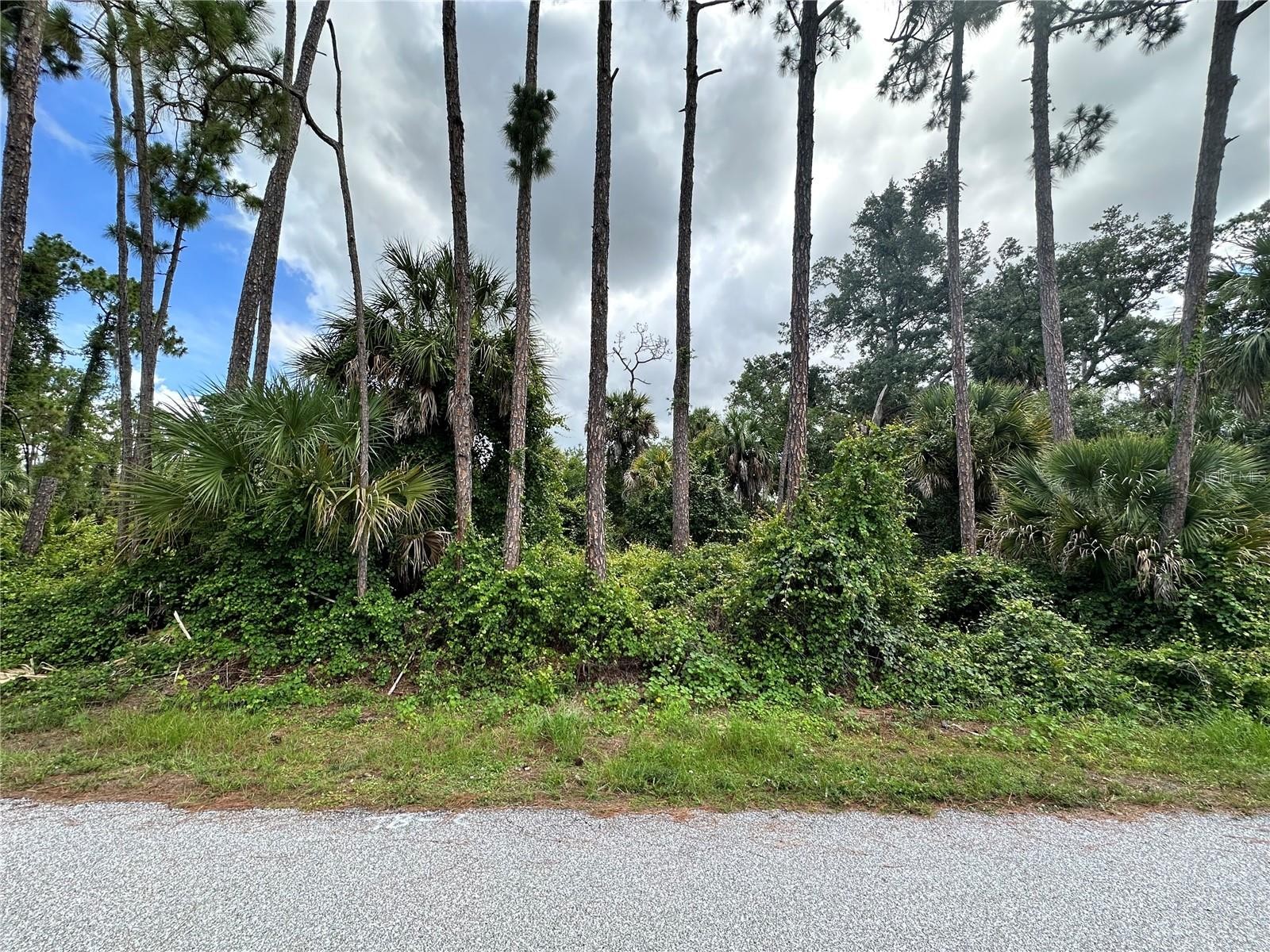 RUFUS RD
