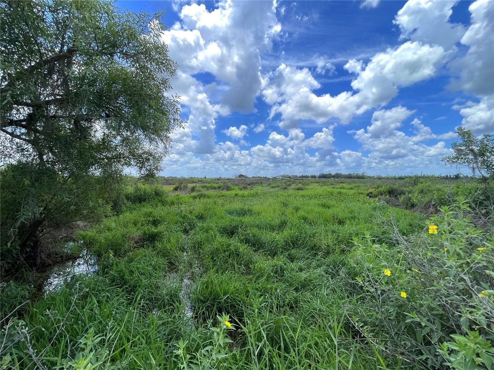 WAUCHULA RD