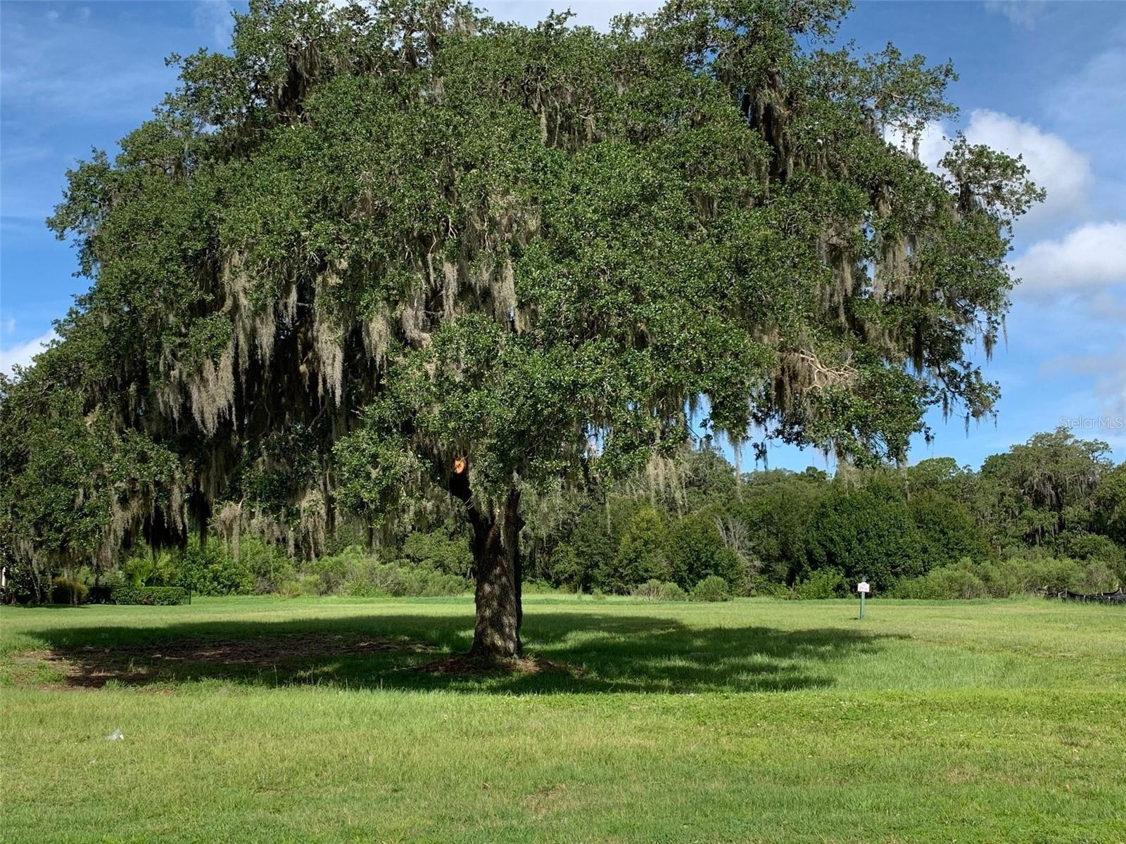 4052 FOUNDERS CLUB DR