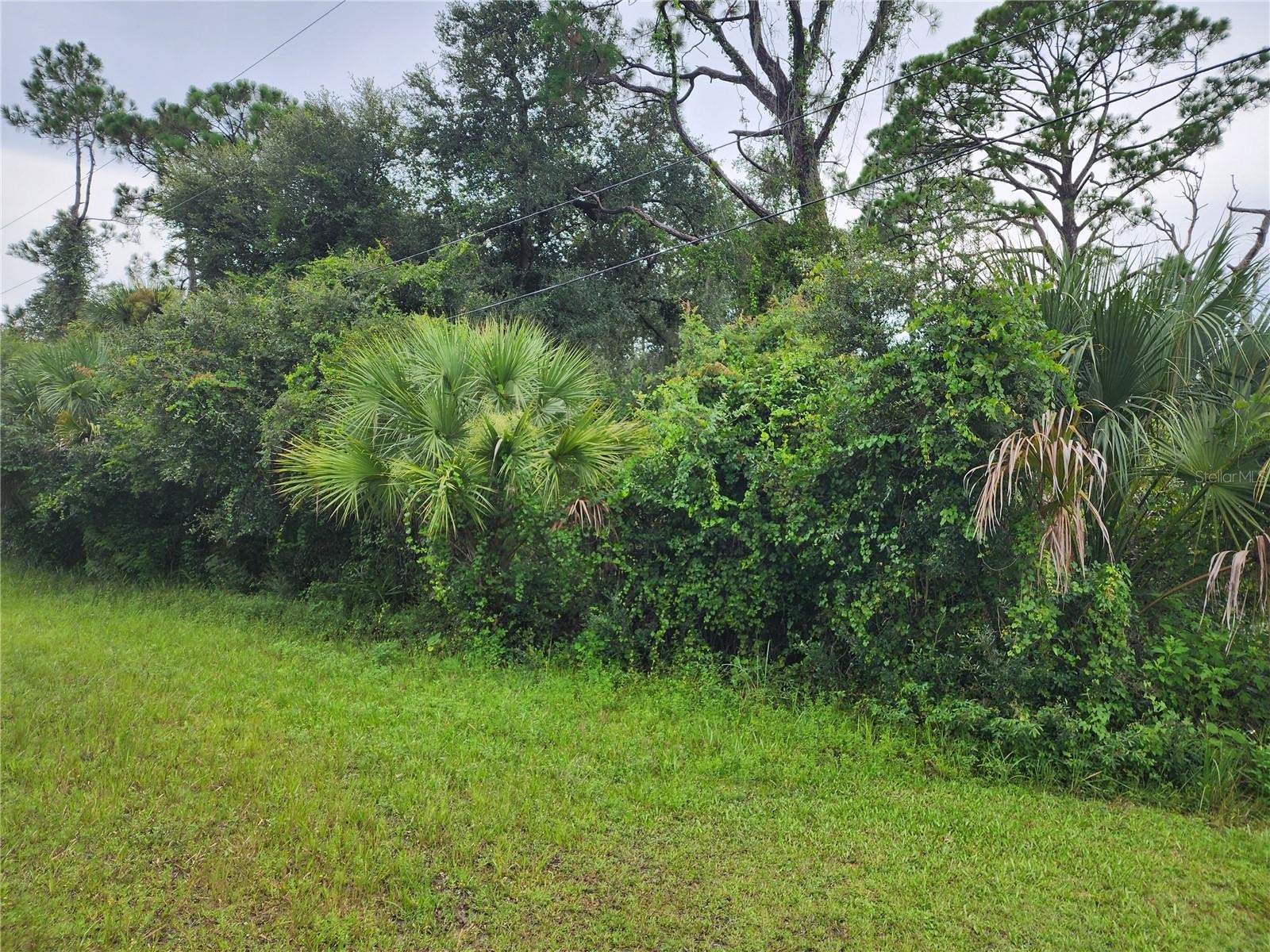 HORNBUCKLE BLVD