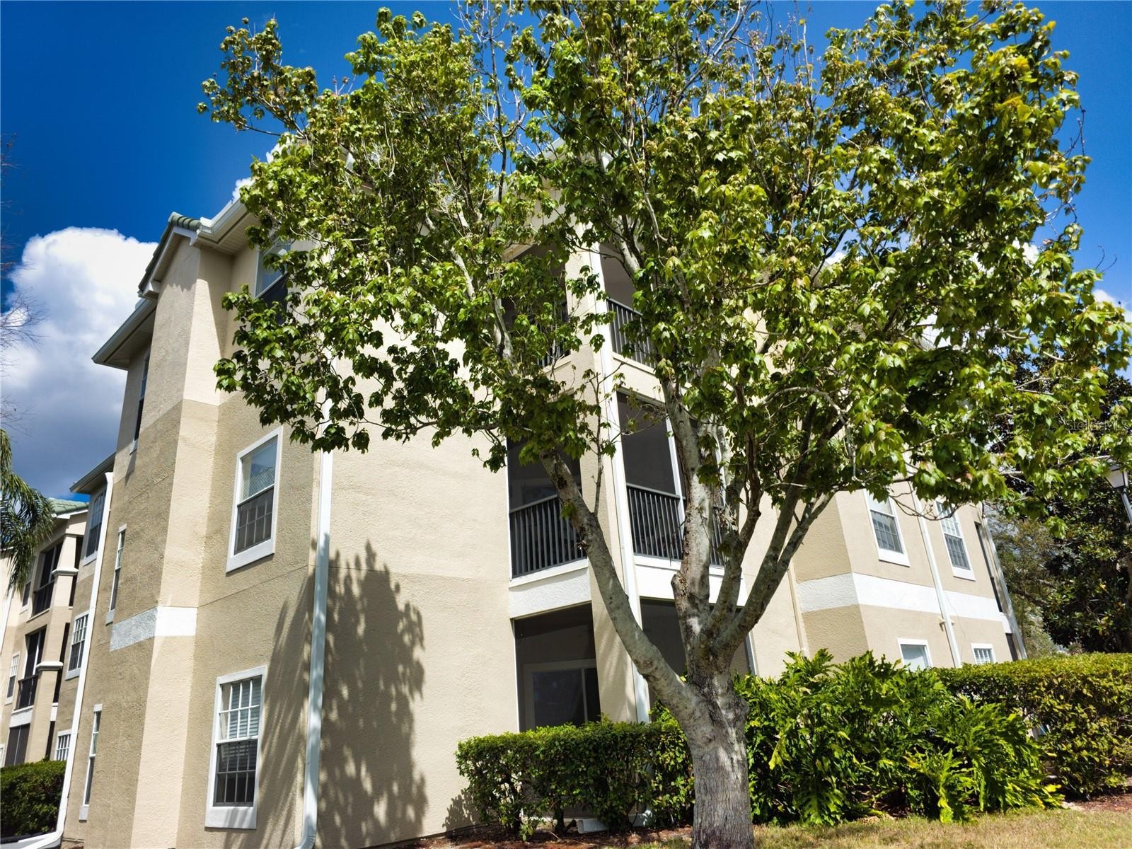 5168 NORTHRIDGE RD #312