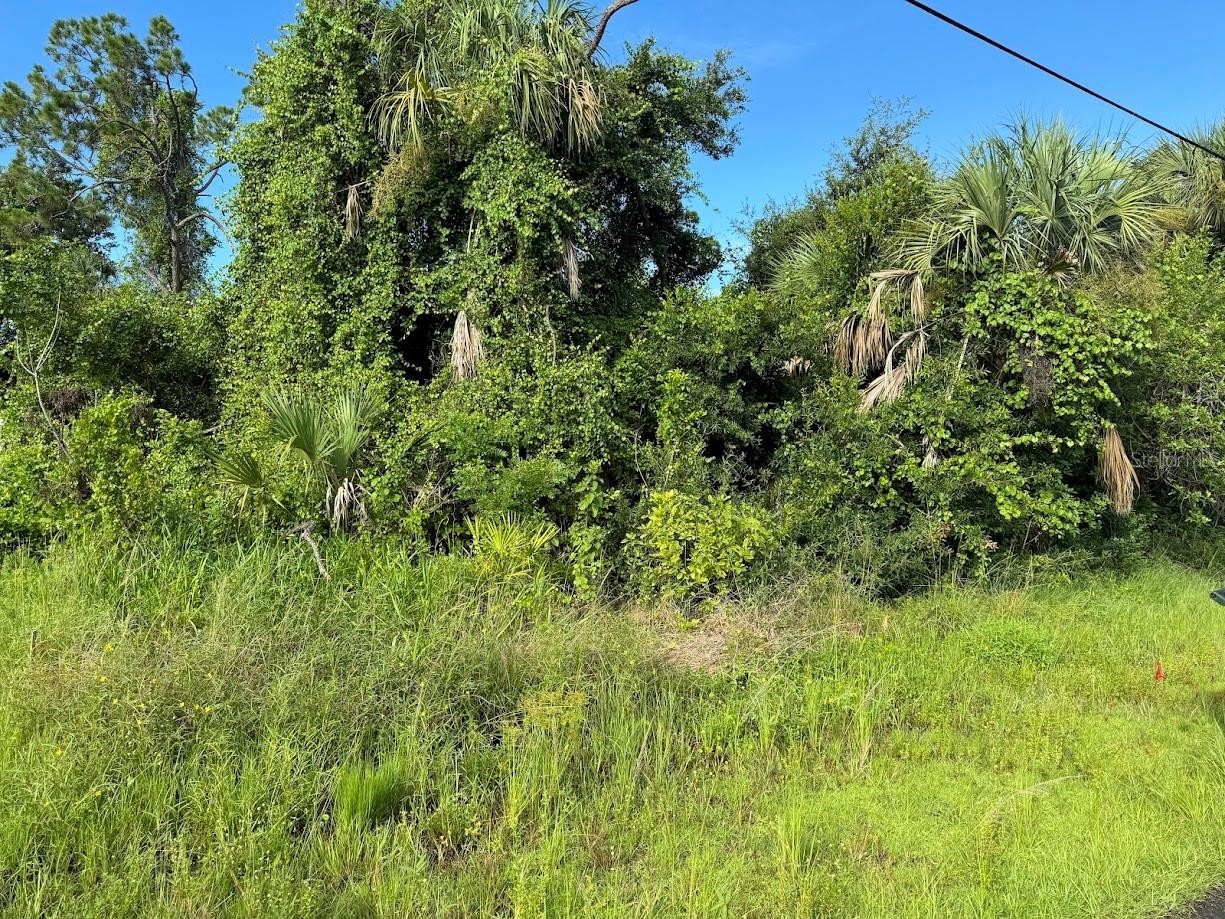 Lot 39 Colonade Ln North Port Florida 34286