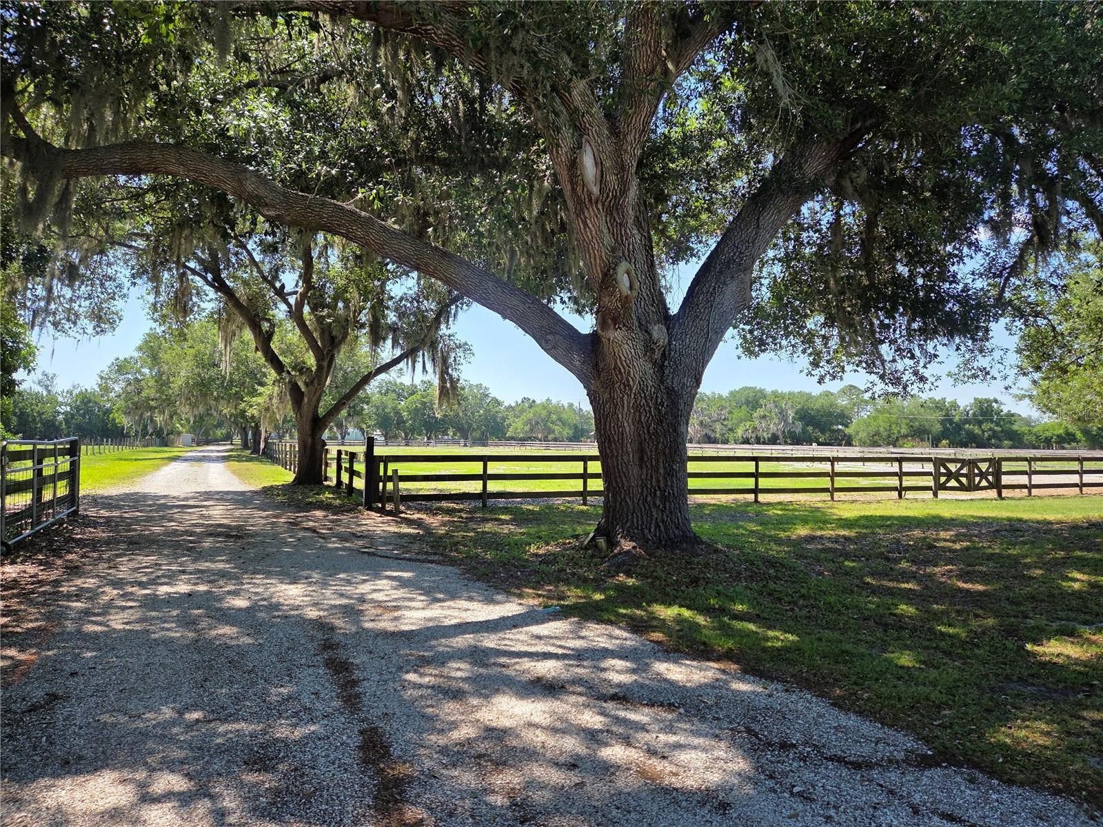 7783 SADDLE CREEK TRL