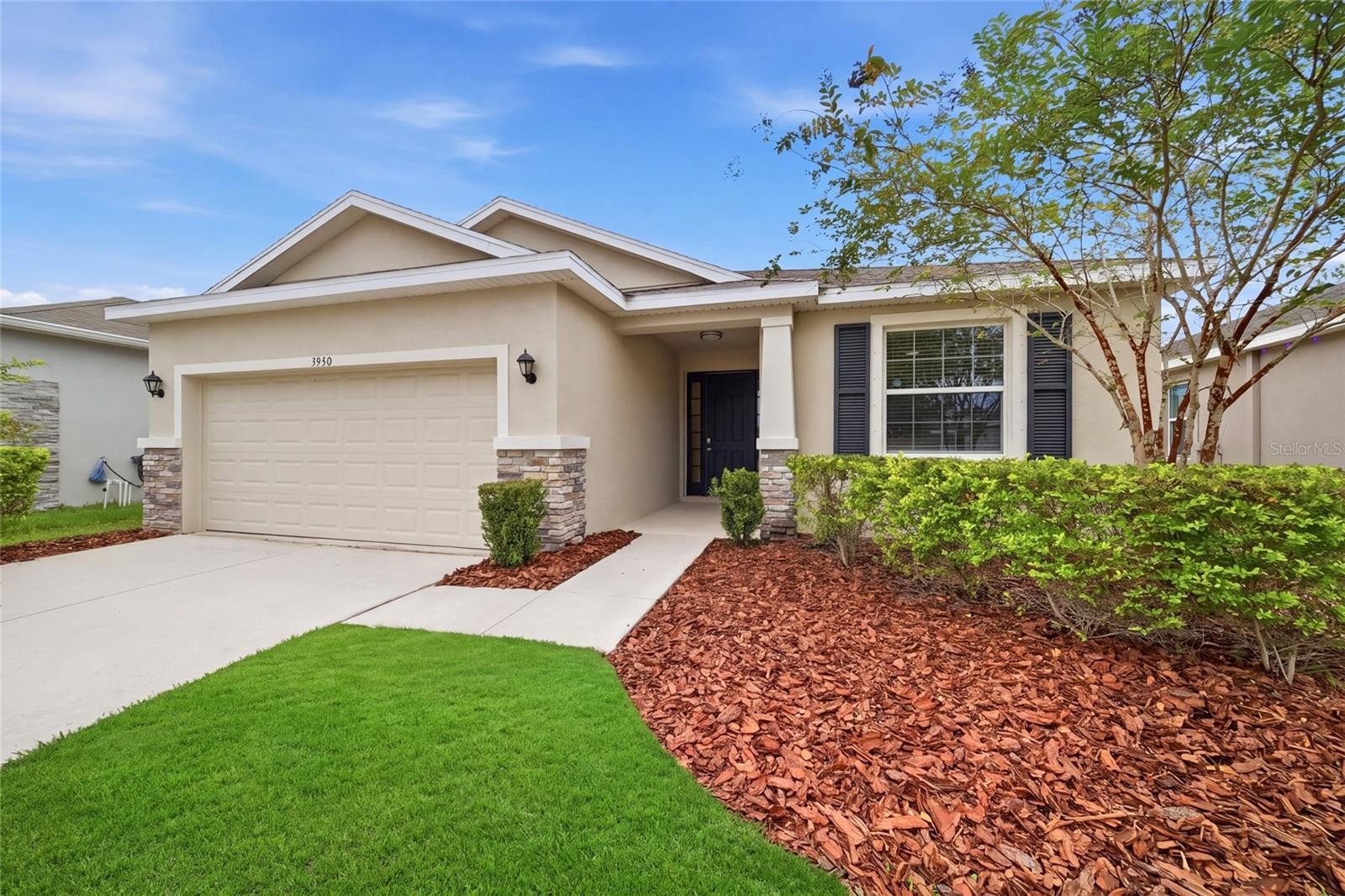 3940 MOSSY LIMB CT