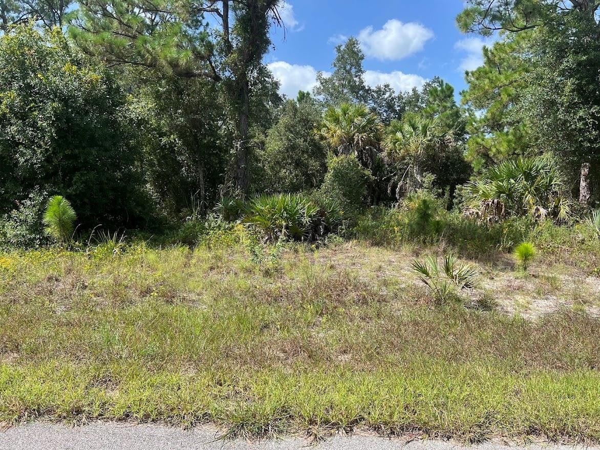 Lot 3 MATTOX CIR