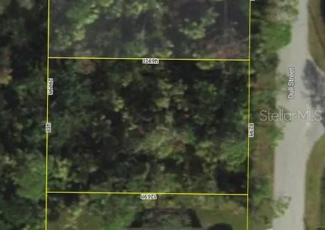 Lot 49 DULL ST