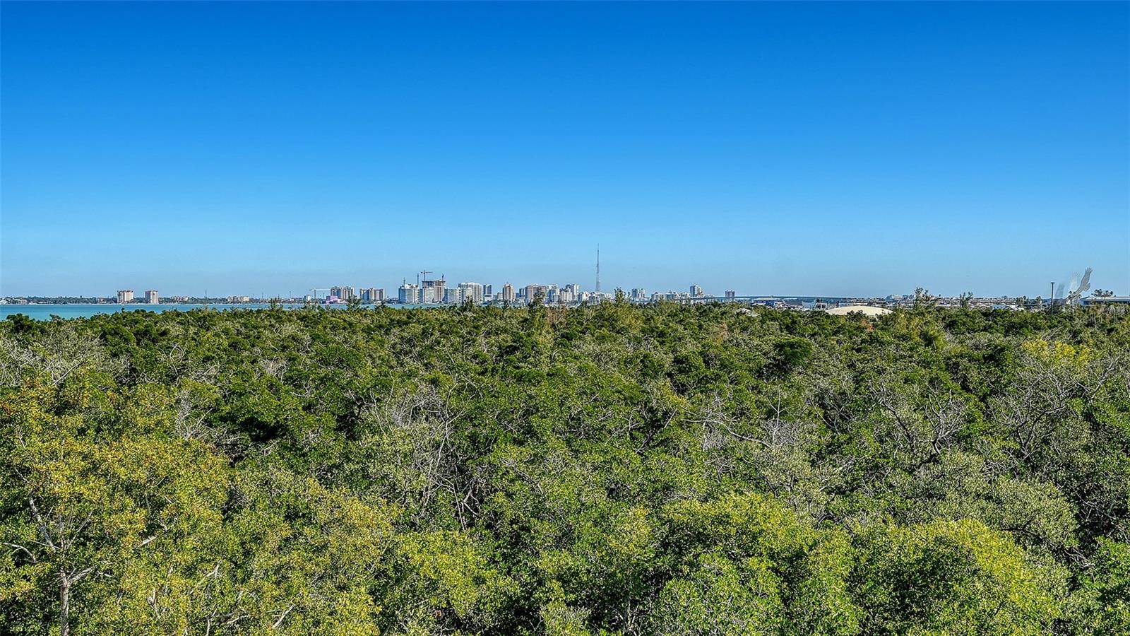 350 GULF OF MEXICO DR #234