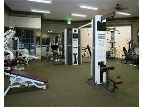 4170 CENTRAL SARASOTA PKWY #433