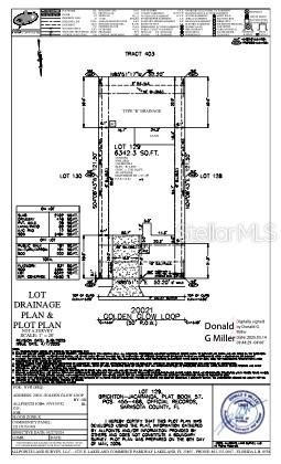 20021 GOLDEN GLOW LOOP