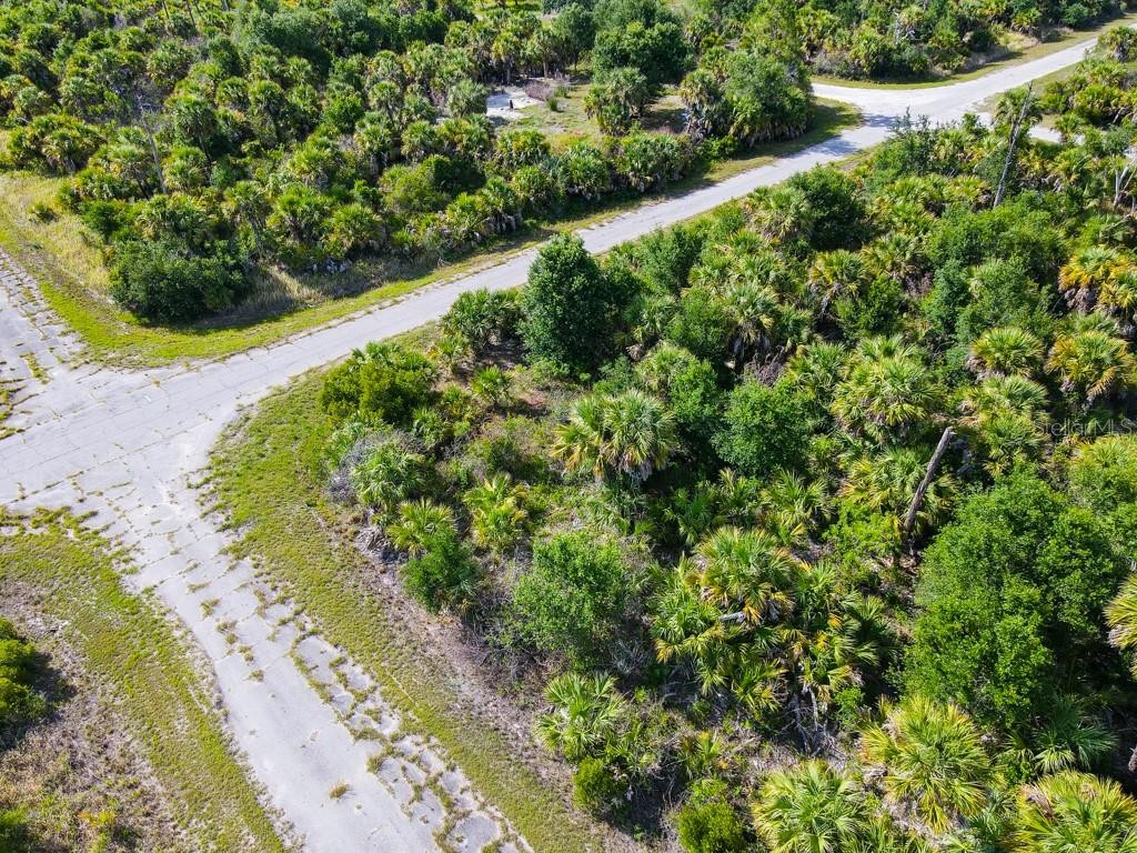 FIREBIRD RD