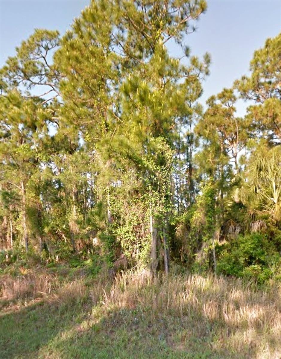 OLD WINE RD