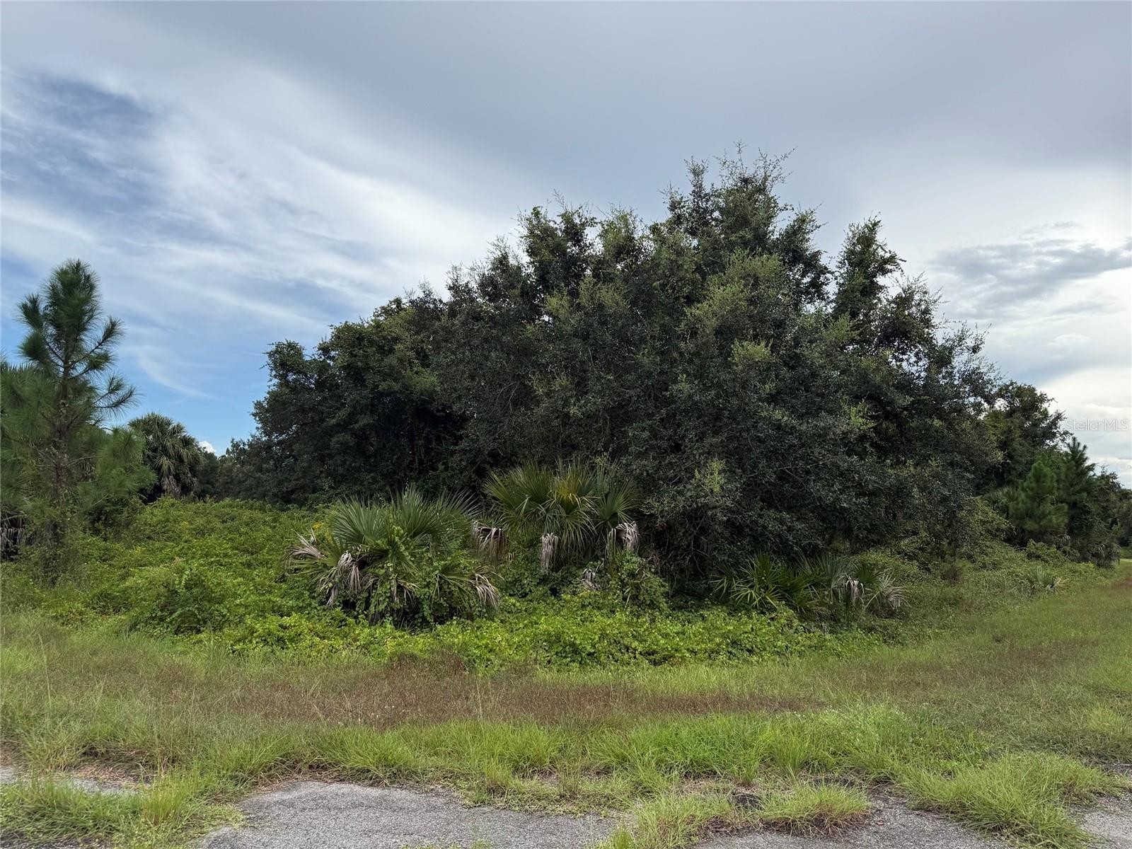 Lot 1 GASKINS CIR
