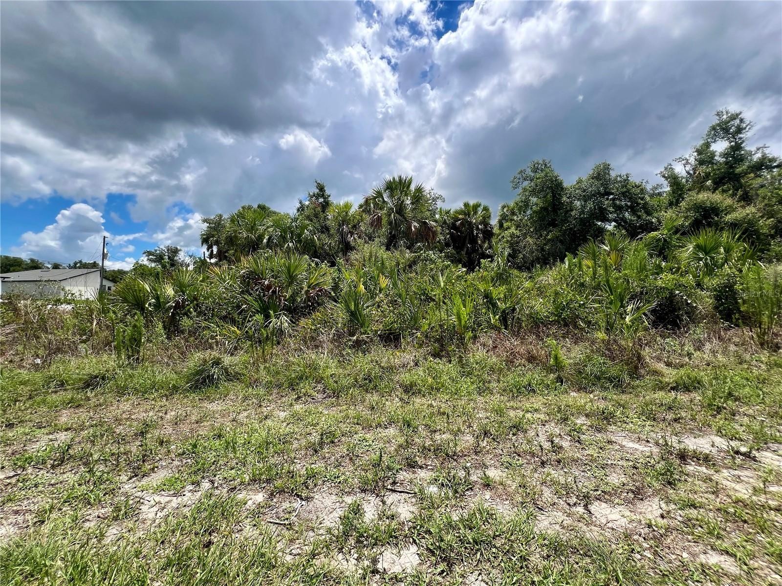 LOT 23 NASHVILLE RD