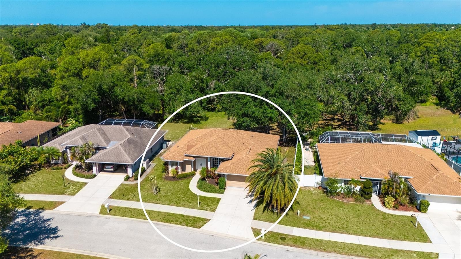 3521 BRANCH CREEK DR