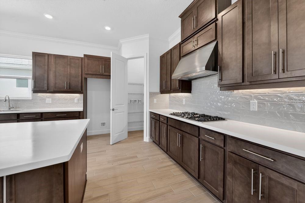 10213 SILENT NIGHT LN