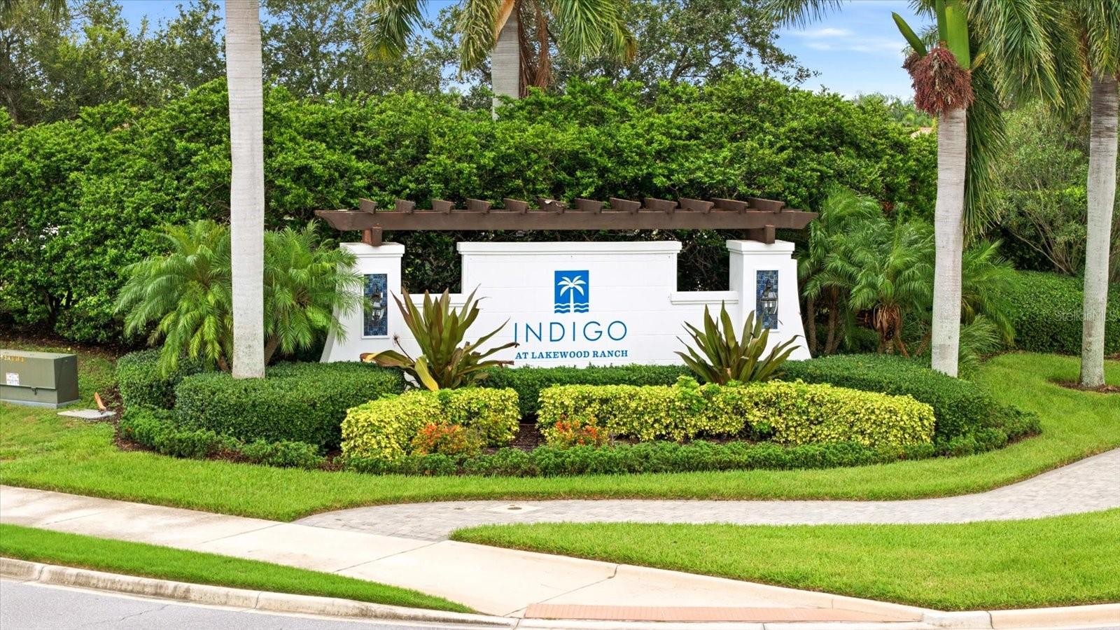 3036 SKY BLUE CV