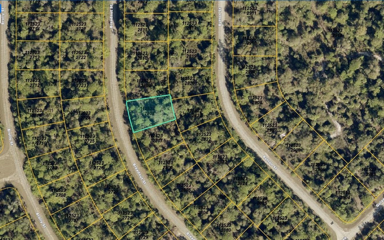1125232808 BREADNUT ST