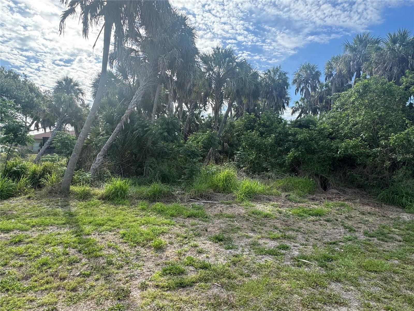 Lot 1 MULGRAVE AVE