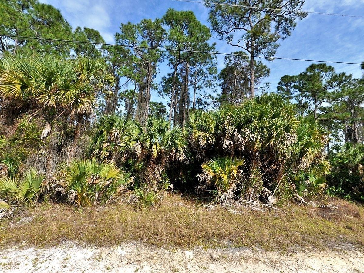 Lot 12 SADNET LN