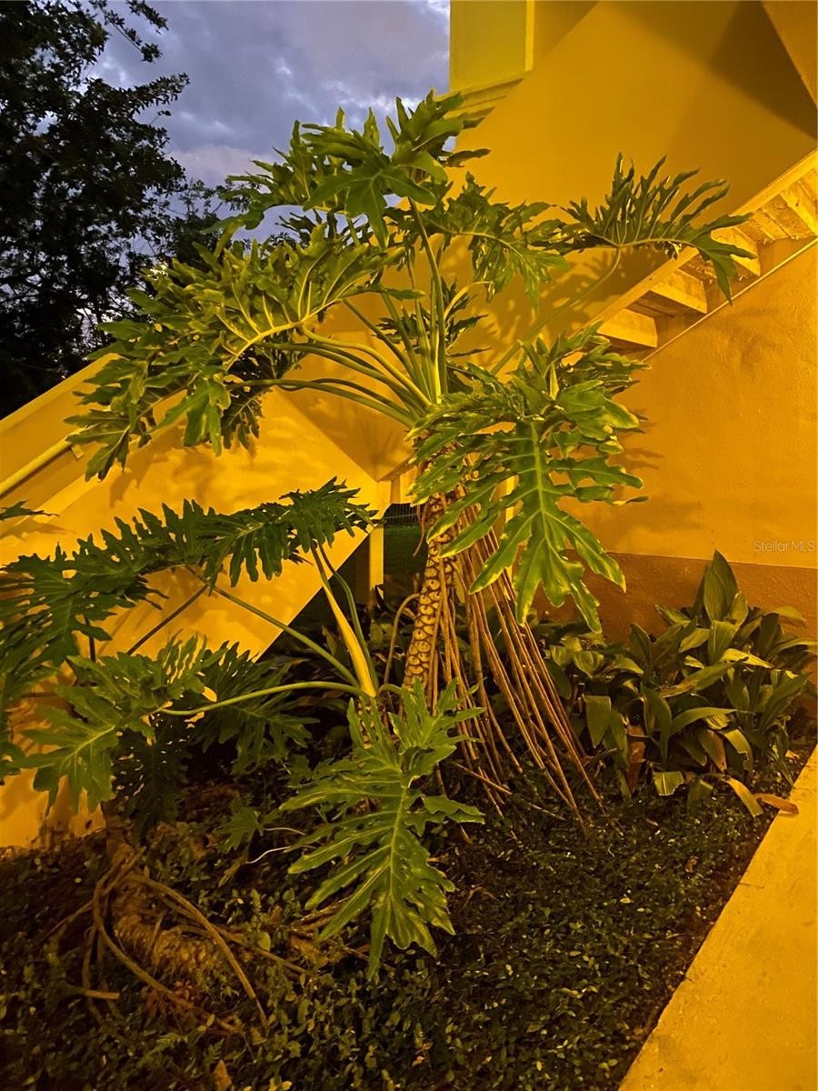 1010 VILLAGIO CIR #106