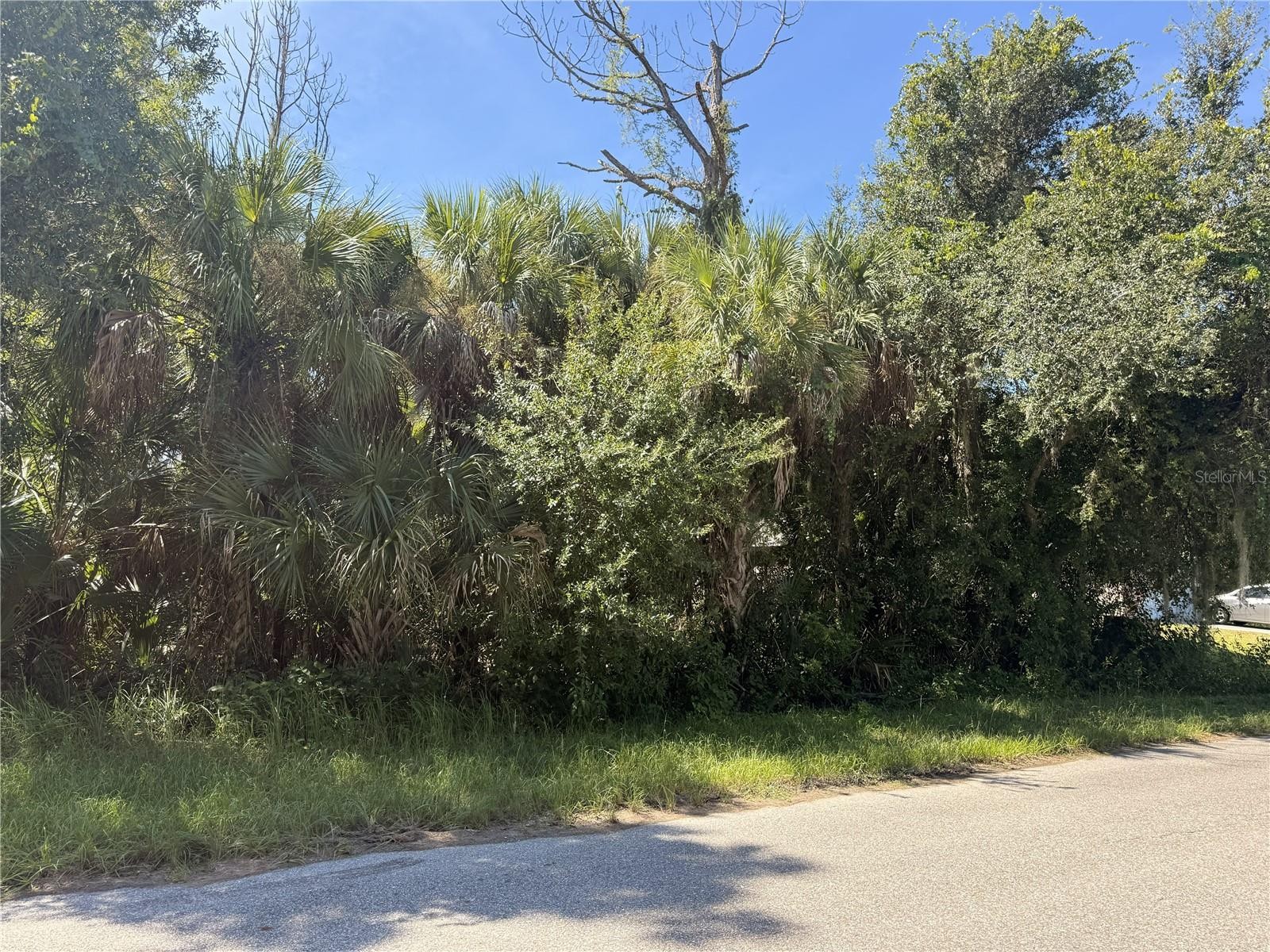 LOT 15 WALMSLEY AVE AVE