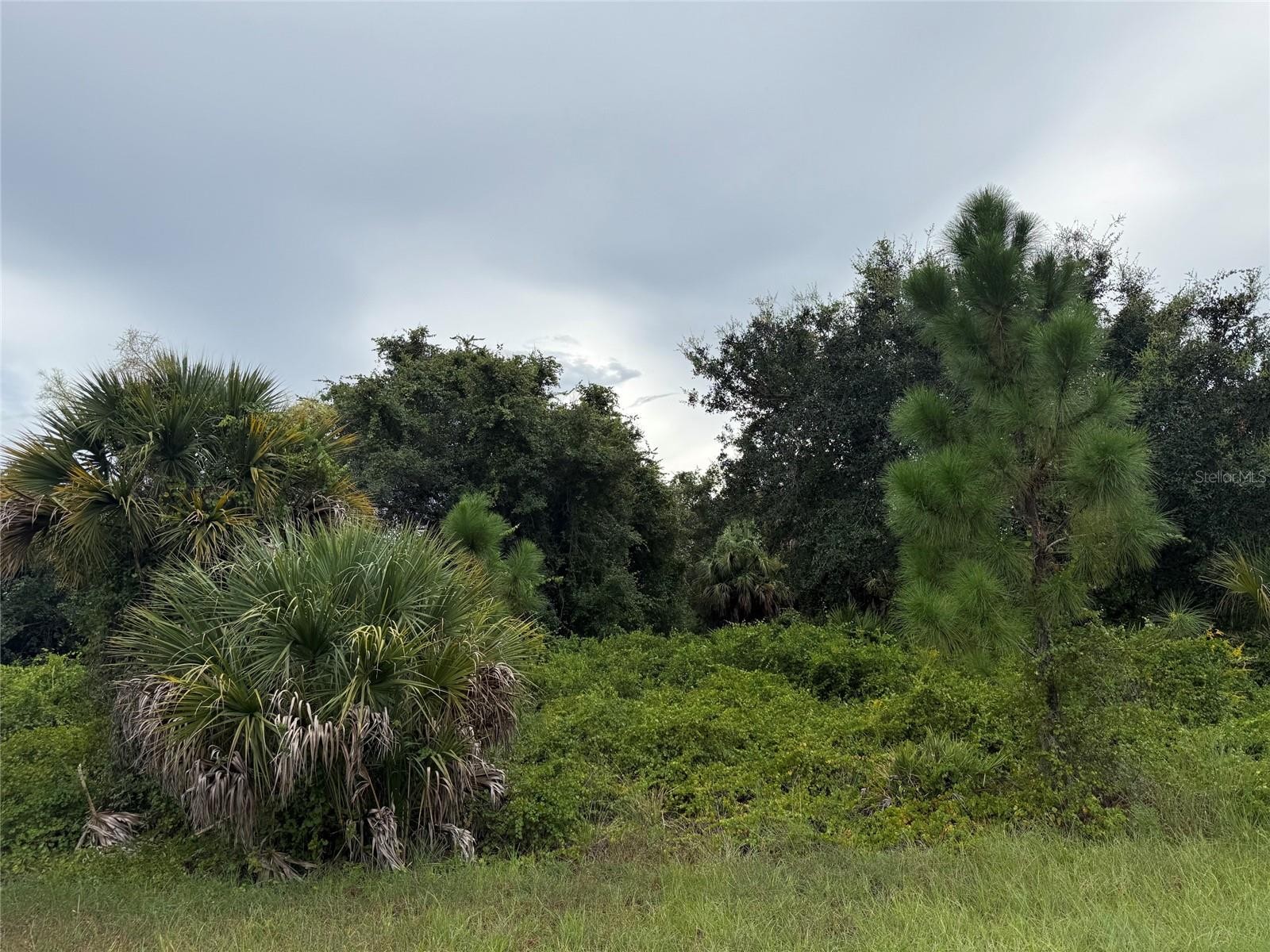 Lot 1 GASKINS CIR