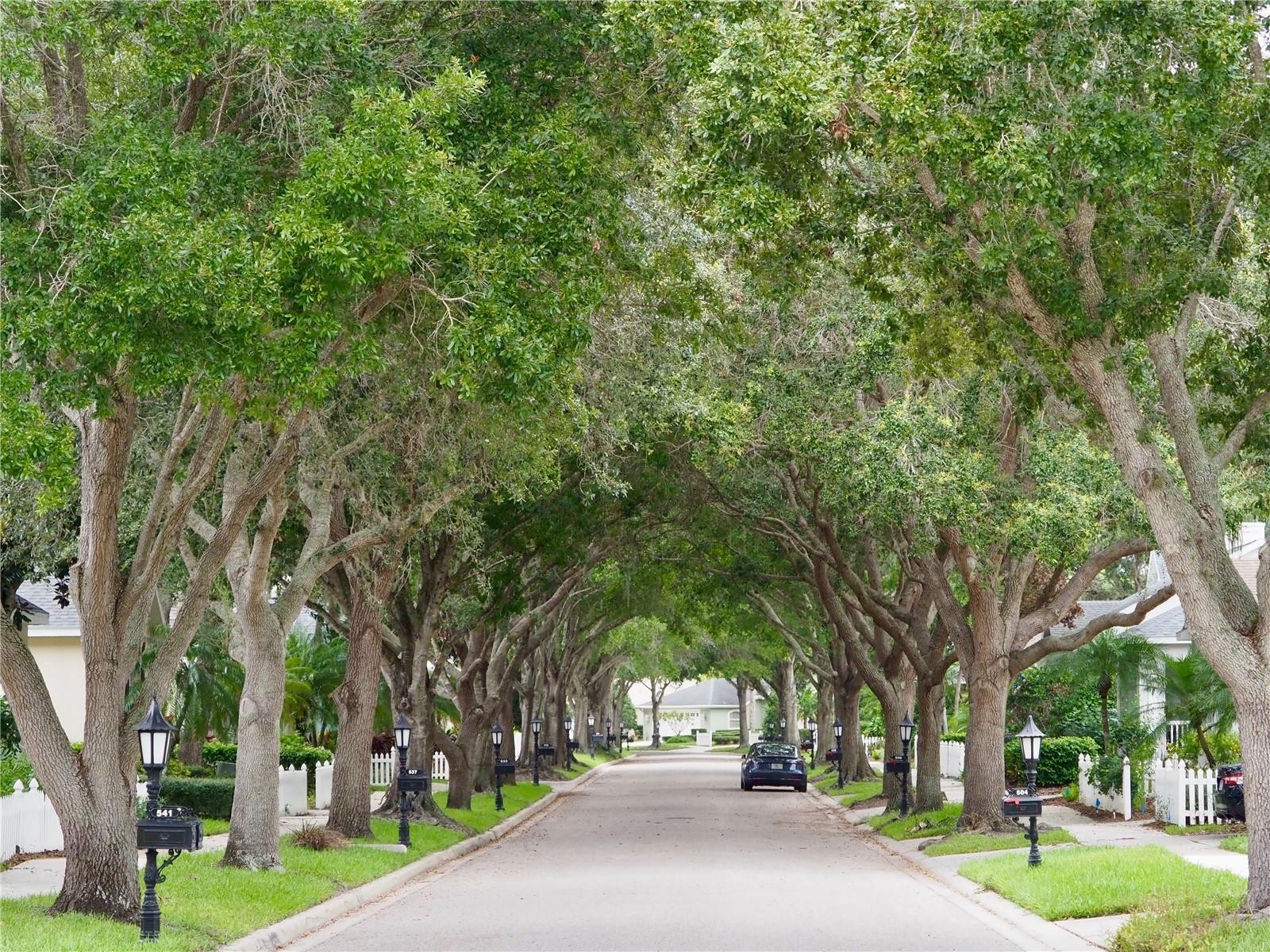 494 MEADOW SWEET CIR