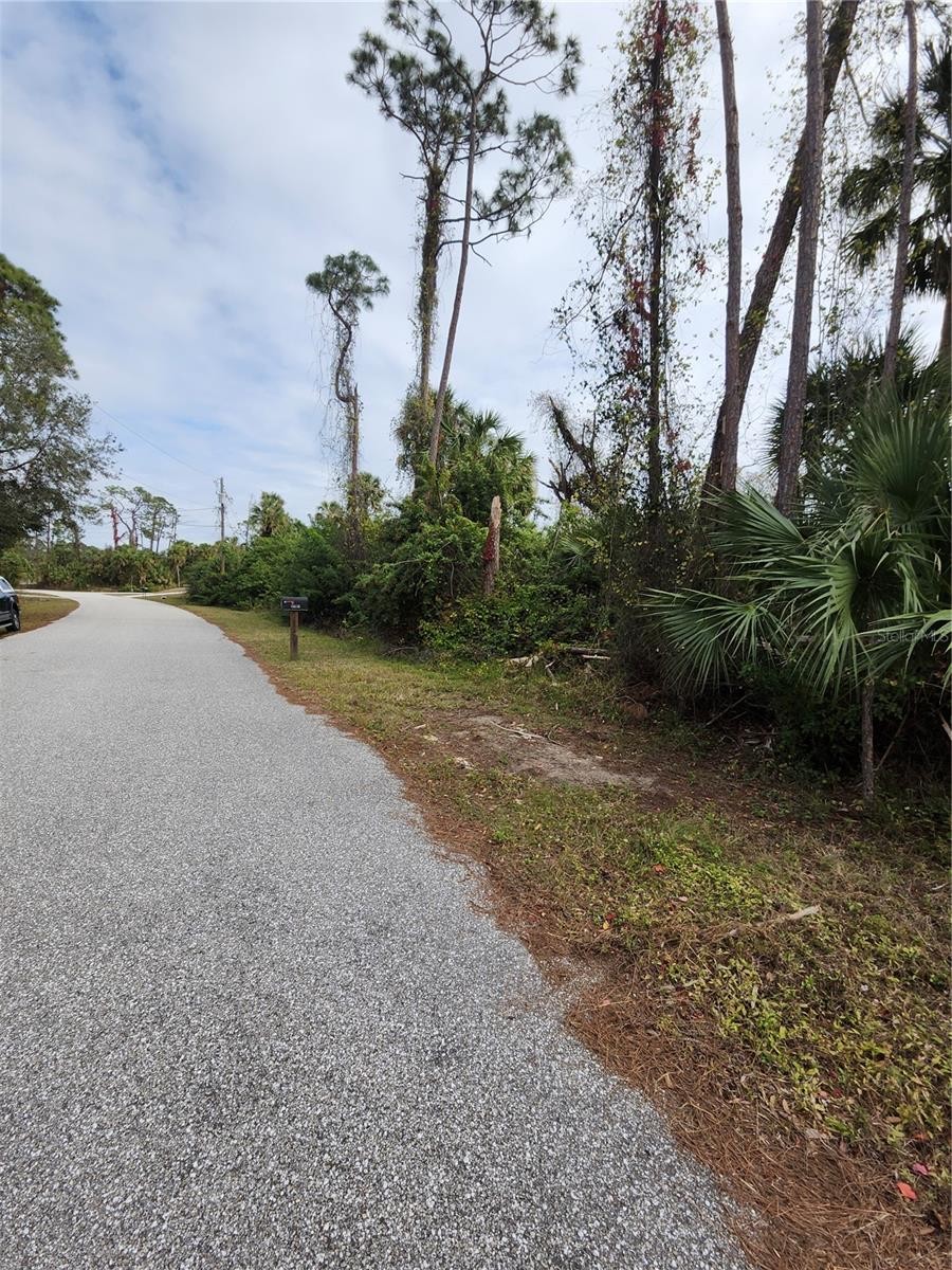 DAPHNE RD