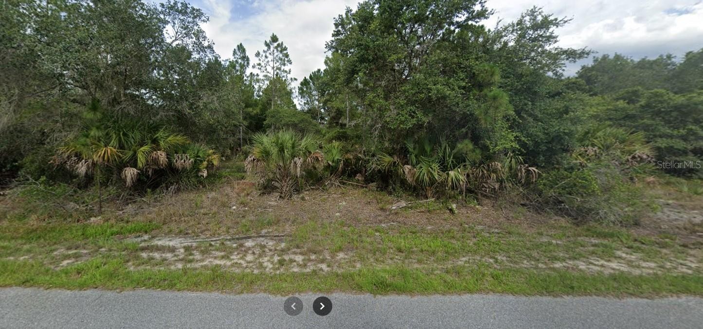 Sago Palm Rd North Port Florida 34291